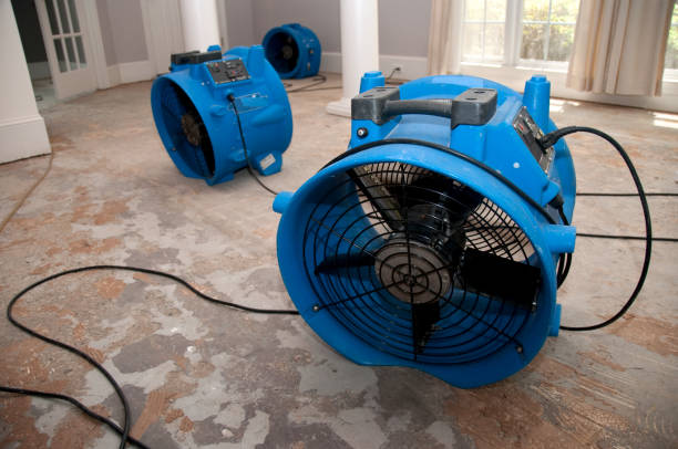 Best Water damage restoration near me  in Baltimore, OH